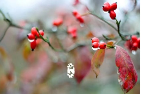 微信图片_20240218221601.jpg 微信图片_20240218221601.jpg