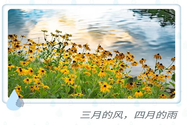 微信图片_20240218224119.jpg 微信图片_20240218224119.jpg