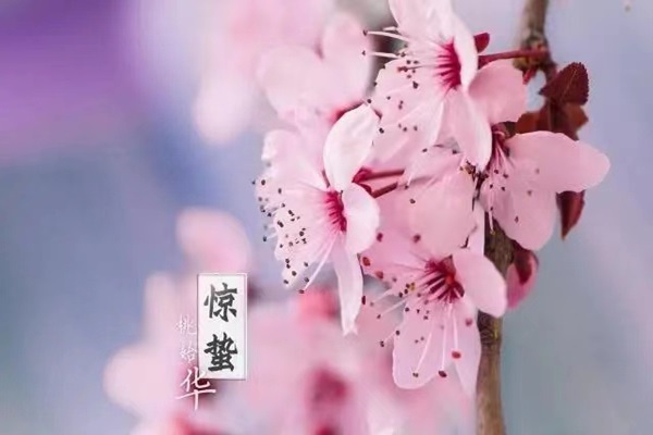 微信图片_20240303160008.jpg 微信图片_20240303160008.jpg