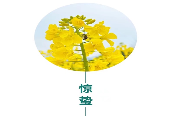 微信图片_20240303160439.jpg 微信图片_20240303160439.jpg