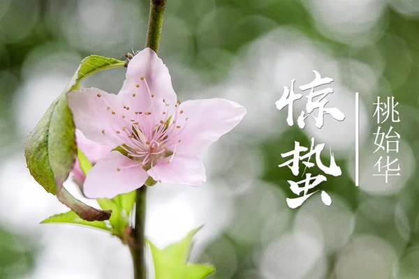 微信图片_20240303161059.jpg 微信图片_20240303161059.jpg
