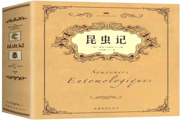 昆虫??1).jpg 昆虫??1).jpg