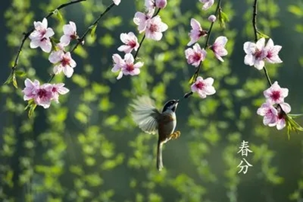 图片7.png 图片7.png