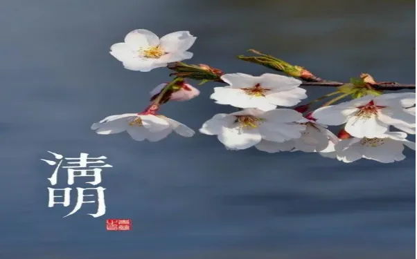 图片6.png 图片6.png
