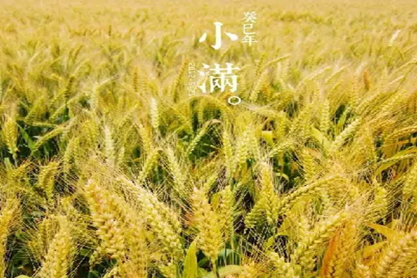图片5.png 图片5.png