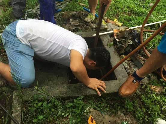 IMG_2478.jpg IMG_2478.jpg