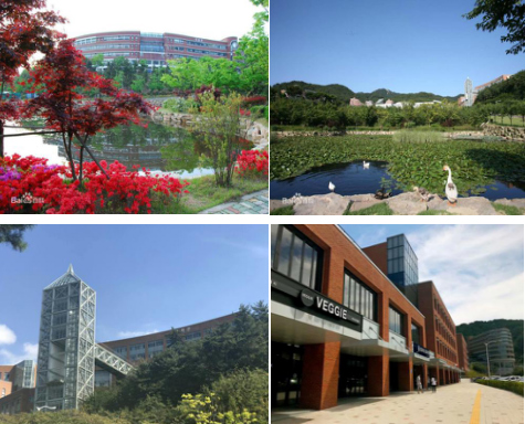 QQ图片20170908110743_meitu_1.jpg QQ图片20170908110743_meitu_1.jpg