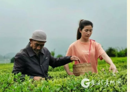 1da8f5dd0d364d90b71ac46c6b550b8.png 1da8f5dd0d364d90b71ac46c6b550b8.png