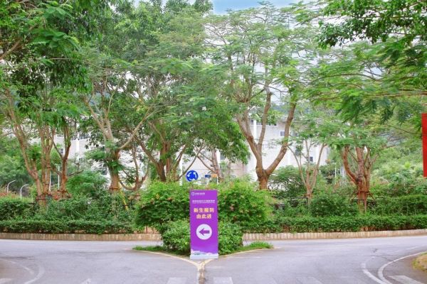 图片 4.jpg 图片 4.jpg