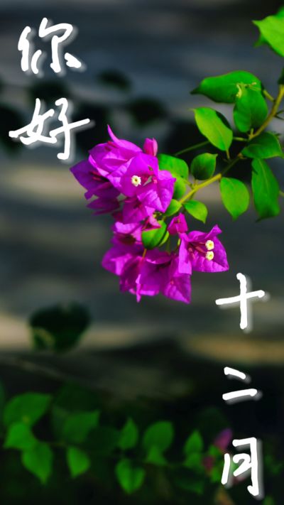 图片 2.jpg 图片 2.jpg