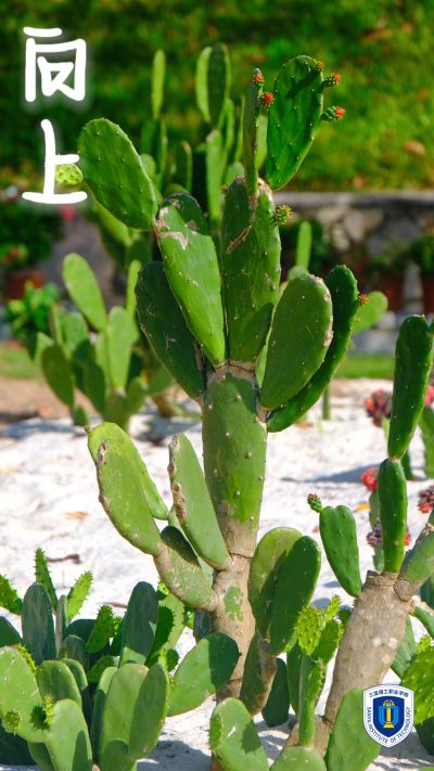 图片 6.jpg 图片 6.jpg