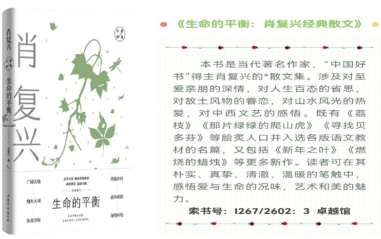 Image1(3).png