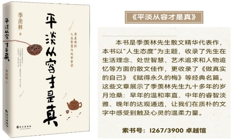 Image1(4).png