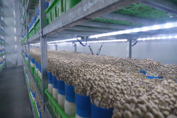 ͼƬ 1_����.jpg