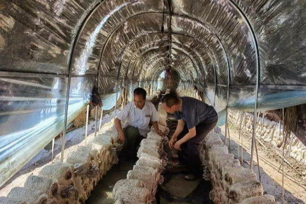 ͼƬ 121_����.jpg